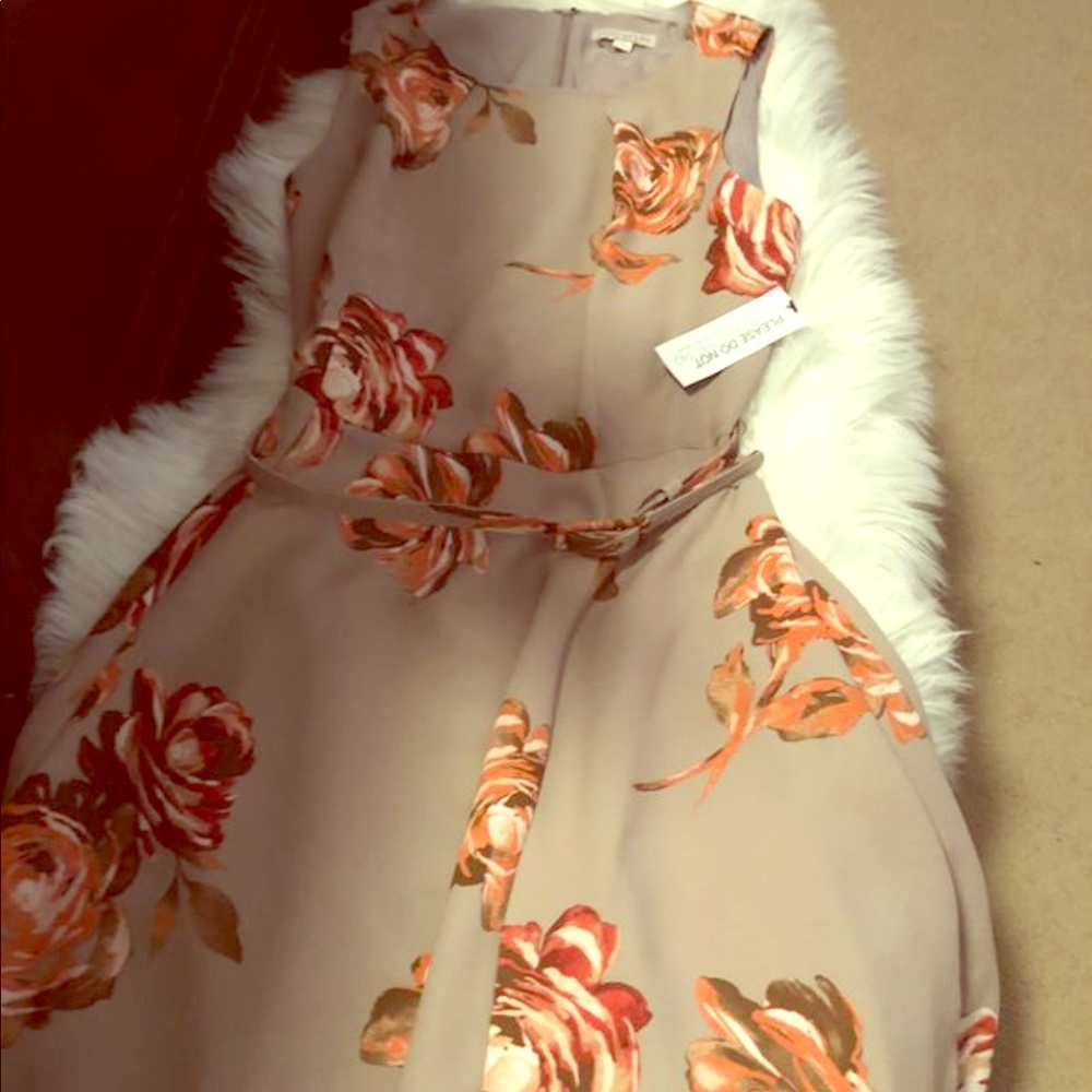 A line dress new Eva Mendez/New York &comp sz 10